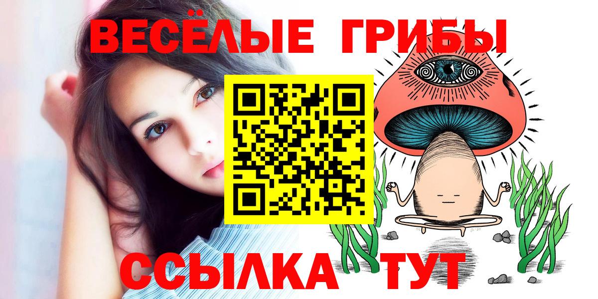 Галлюциногенные грибы мицелий Тайшет